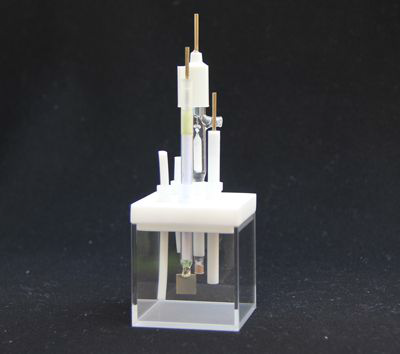 ʯӢ��늻��W(xu��)��